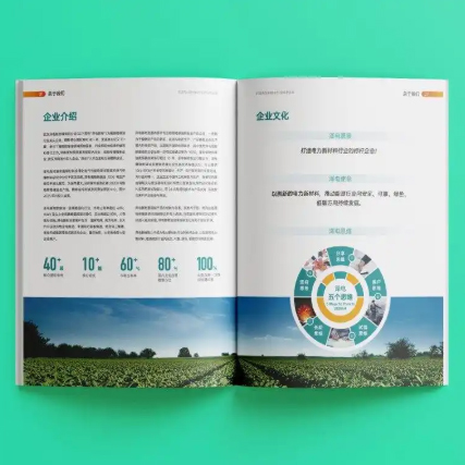 畫冊這樣設(shè)計(jì)排版，立馬高級